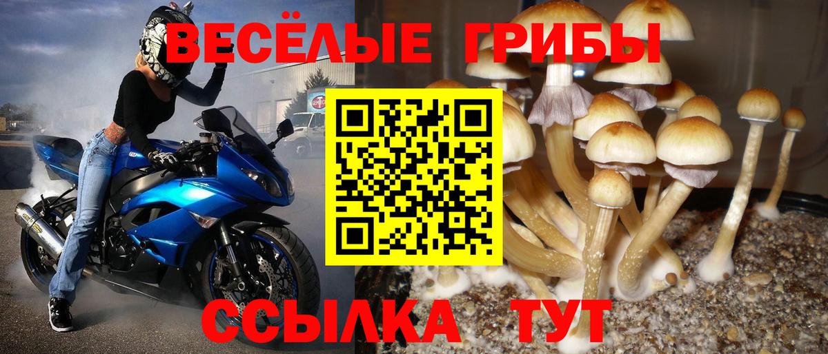 Галлюциногенные грибы прущие грибы Северобайкальск
