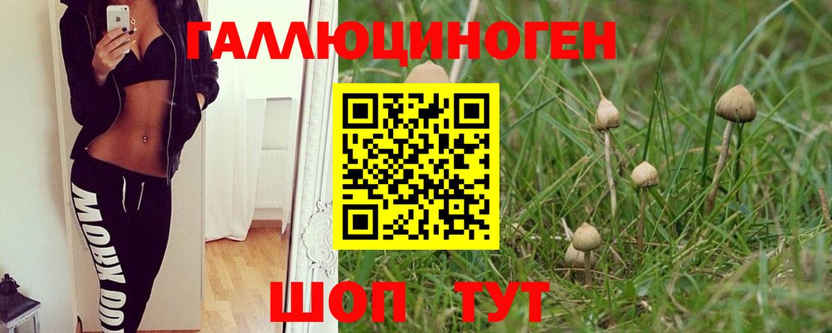 Галлюциногенные грибы мухоморы  Вход с VPN  Северобайкальск 