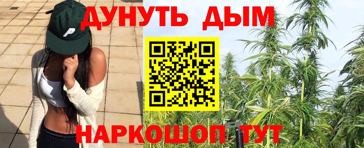 Бошки Шишки Amnesia Северобайкальск